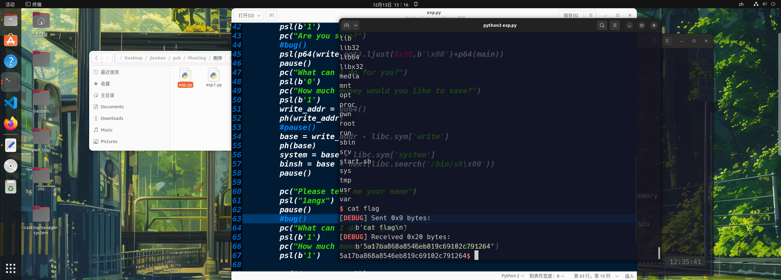 image-20251213051617084